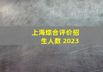 上海综合评价招生人数 2023